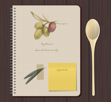 Recipes notebook and olives hand drawn "Hojiblanca" Spanish olive varietyのイラスト素材