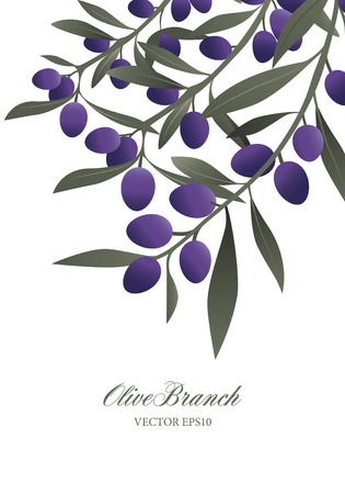 Olive branches and purple olives isolated on white background vector illustration.のイラスト素材