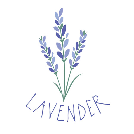 Lavender flower. Logo design. Text hand drawn.のイラスト素材
