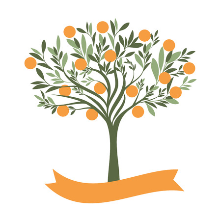 Vector illustration of orange tree with blank label on white backgroundのイラスト素材