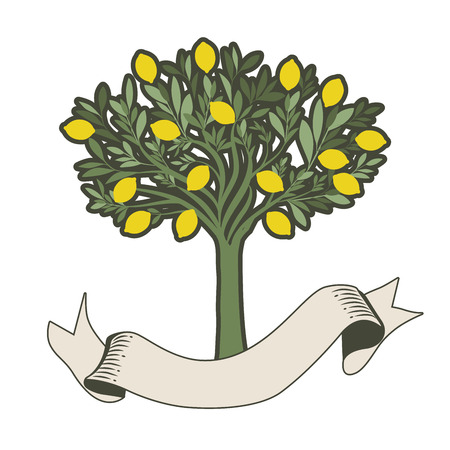 Vector illustration of lemon tree with blank label on white backgroundのイラスト素材