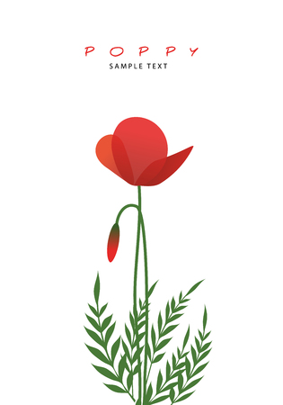 Stems, leaves and poppy flowers isolated on white background.のイラスト素材