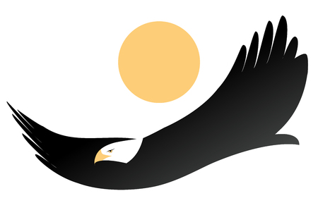 American eagle or white-headed eagle, flying isolated on the sun on white backgroundのイラスト素材