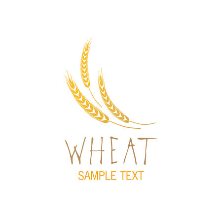 Stylized ears of wheat food or agriculture logo, handwritten sample text, isolated on white backgroundのイラスト素材