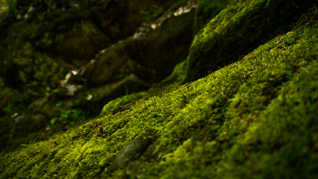 Old stone wall texture in Krasnodarの写真素材