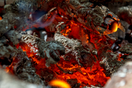 burning char, dogorajushhee treeの写真素材