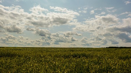 Blue sky with white clouds over green grassの写真素材