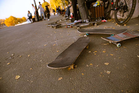 A skateboarder in action at Venice Beach Skate Park in Los Angeles, California, USA