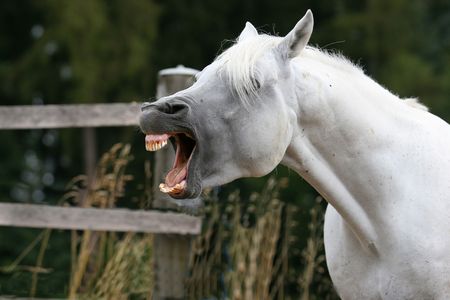 help!の写真素材