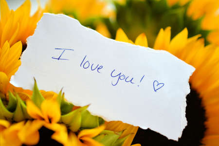 Bright yellow sunflowers on natural rustic texture wooden board. Mockup banner with flowers of the...