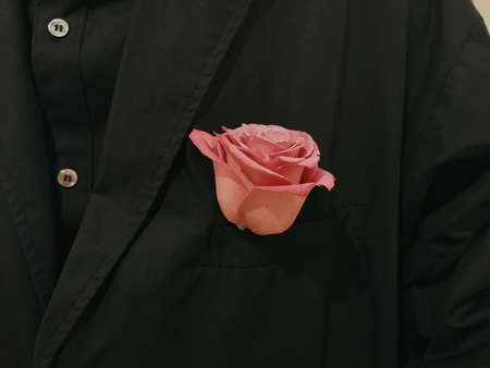 Flower Combination Material Background