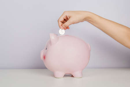 Put the coin in the piggy bank, save money to build a life.の写真素材