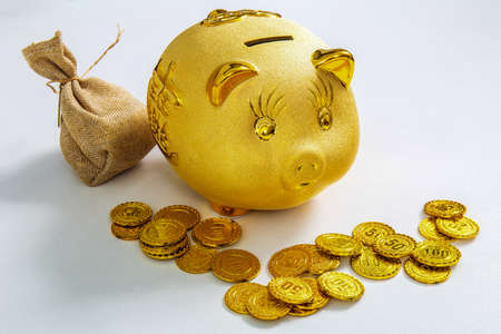 The gold coins next to the piggy bank and the money bag on the white deskの写真素材