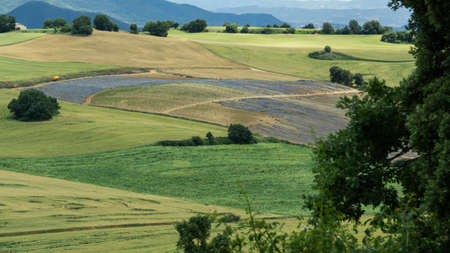 Beautiful and colorful landscape of cultivated fields with various shades of green