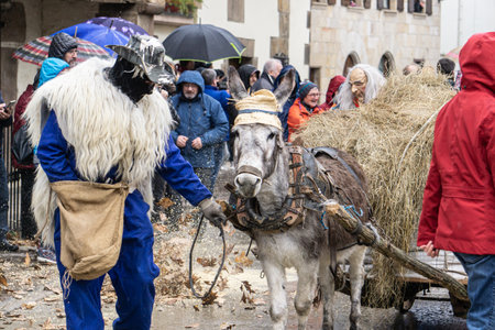 Ituren, Navarre, Spain; 01 27 2020: Man dressed in overalls, sheepskin over his shoulders, balaclava, old hat and backpack, pulling a donkey with a hat carrying straw on a cart.のeditorial素材
