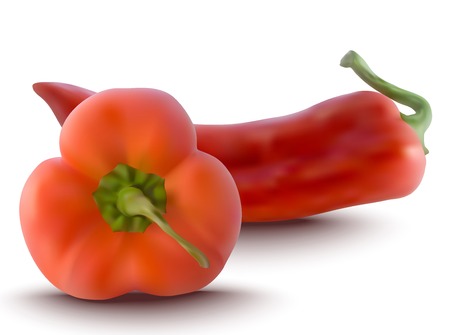 realistic red peppers - vector illustrationのイラスト素材