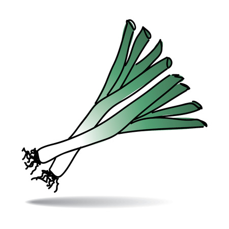 Freehand drawing leek icon のイラスト素材
