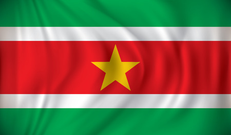 Flag of Suriname - vector illustrationのイラスト素材
