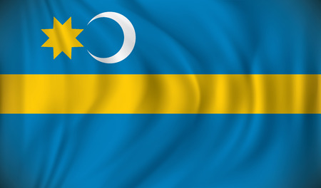 Flag of Szeklerland - vector illustrationのイラスト素材