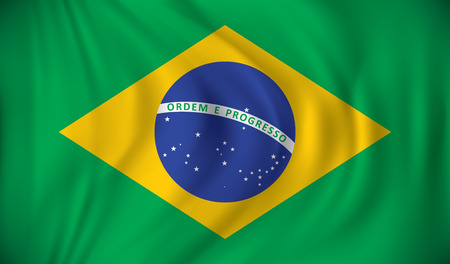 Flag of Brazil - vector illustrationのイラスト素材