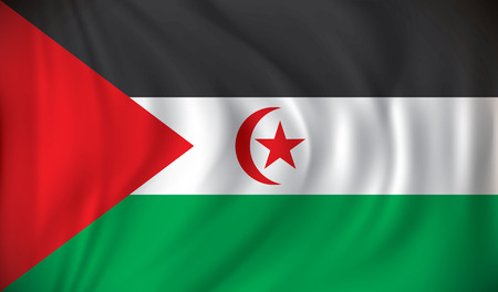 Flag of Western Sahara - vector illustrationのイラスト素材