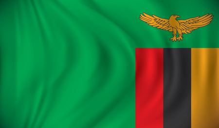 Flag of Zambia - vector illustrationのイラスト素材