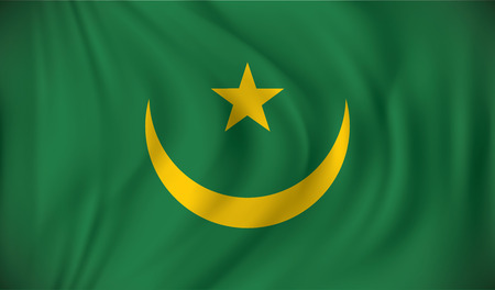 Flag of Mauritania - vector illustrationのイラスト素材