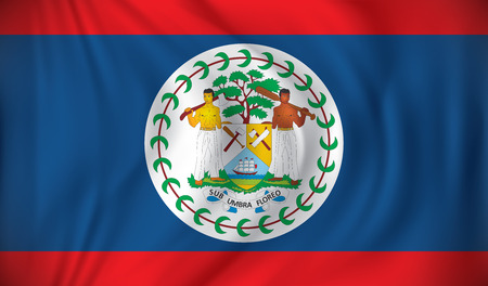 Flag of Belize - vector illustrationのイラスト素材