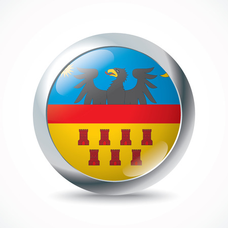 Transylvania flag button - vector illustrationのイラスト素材