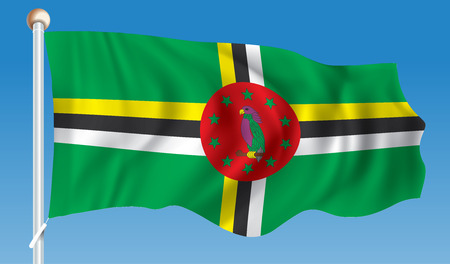 Flag of Dominica - illustrationのイラスト素材