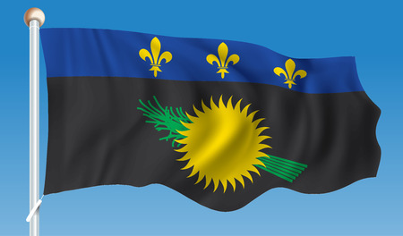 Flag of Guadeloupe - vector illustrationのイラスト素材