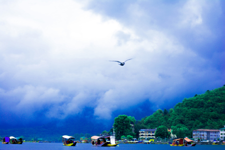 kashmir lake, indiaのeditorial素材