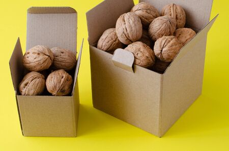 Walnut in craft paper boxes on yellow backgroundの写真素材