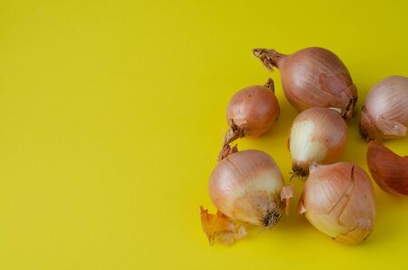 Onions in shell on yellow background with copy space.の写真素材