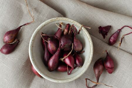 Red seeding-onion in bowl on linen background. Top view.