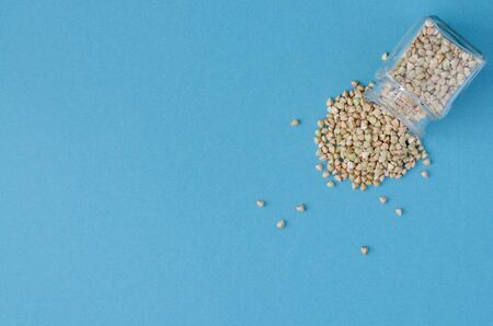Green buckwheat from small glass bottle on blue