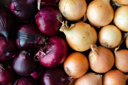 Bulb onion background. Agricultural background. Onions and red onions. Top viewの写真素材