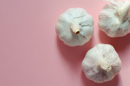 organic garlic on pink background with copy space. Top viewの写真素材