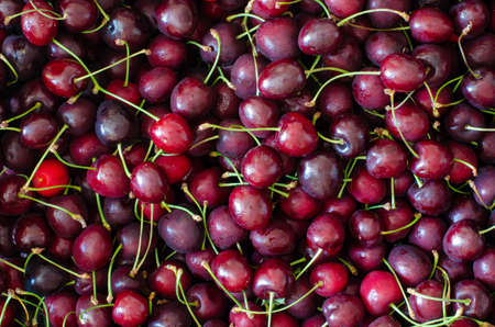 Sweet cherry background. Top view.の写真素材