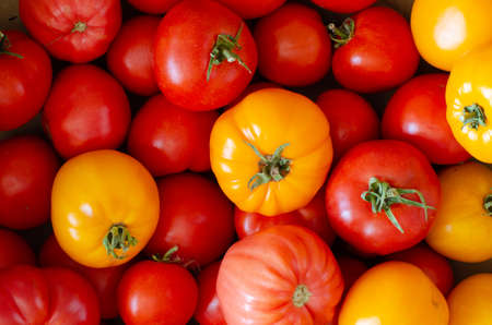 Yellow and red tomatoes background. Top view.の写真素材