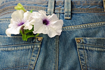 garden flowers looks out of pocketの写真素材