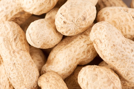 Macro peanuts backgroundの写真素材