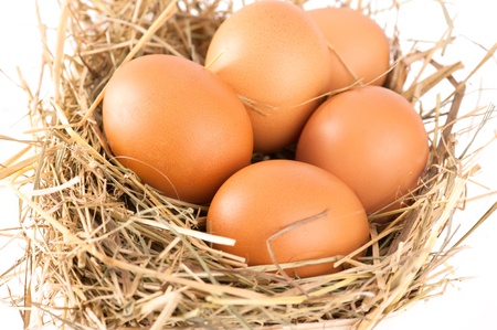Macro shoot of brown eggs at hay. Shallow depth of fieldの写真素材