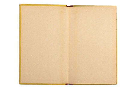Paper texture. Macro of old book pages on white background