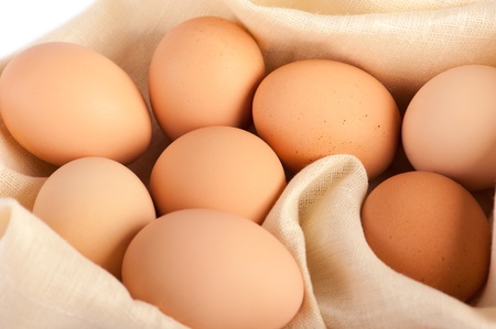 Macro of brown eggs on linen canvas. White background, shallow depth of fieldの写真素材