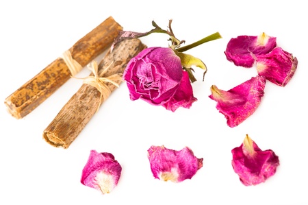 Dry rose and herbs on white. Shallow depth of fieldの写真素材