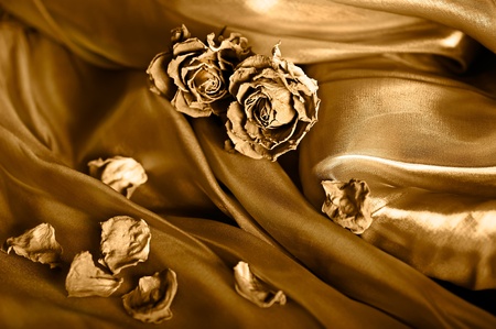 Vintage background: Dry rose on satin. Gold colored image, shallow depth of fieldの写真素材