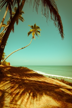 Beautiful sunny day at tropical beach with palm trees. Ocean landscape in vintage style. Indiaの写真素材