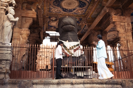 THANJAVUR, INDIA - FEBR 13  Indian people brings offerings to Holy Nandi Bull as Shiva personification in Hinduism at Brihadeeswarar Temple on February 13, 2012  India, Tamil Nadu, Thanjavur  Trichy のeditorial素材
