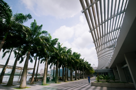 SINGAPORE - FEBRUARY 26: Urban landscape with palm trees on February 26, 2013. Modern skyscrapers of business district Marina Bay Sands at most financial developing Asian city. Singaporeのeditorial素材